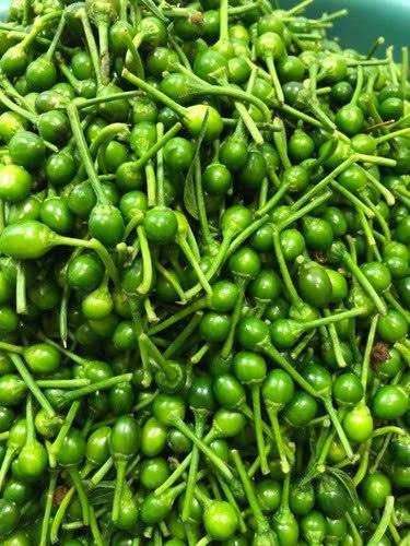 3. Chile Chiltepín Verde